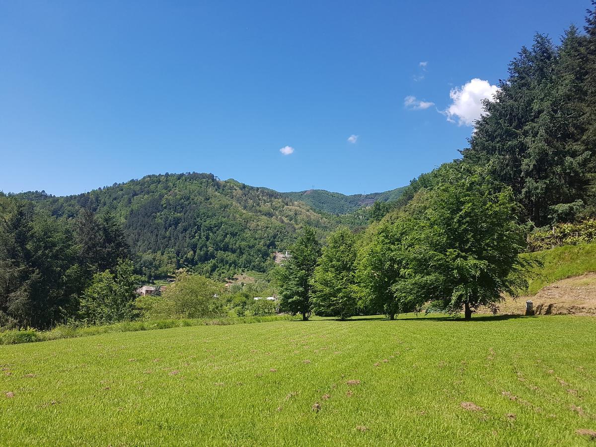 Il Bosco Di Campo Marzano Studios Borzonasca Exterior photo